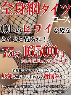 悩殺！セクシー全身網タイツコース